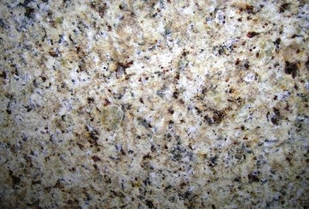 GIALLOORNAMENTALE counter top | Granite | Universal M Granite