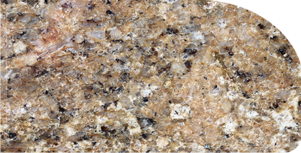 um_12bullnose